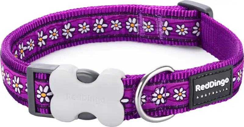 Red Dingo obojek – Daisy Chain Purple – 12 mm x 20-32 cm Nejlepší Volba