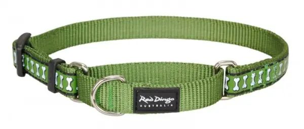 Tovární Cena Red Dingo obojek polostahovací reflexní – Bones Green – 25 mm x 41-62 cm