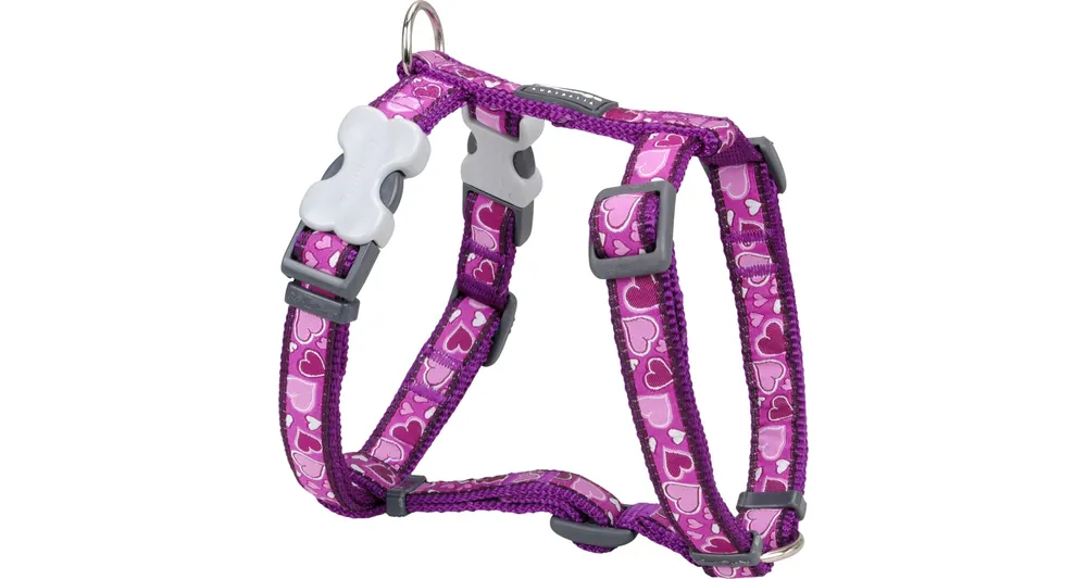 Nová Kolekce Red Dingo postroj – Breezy Love Purple – 25 mm x 56-80 cm