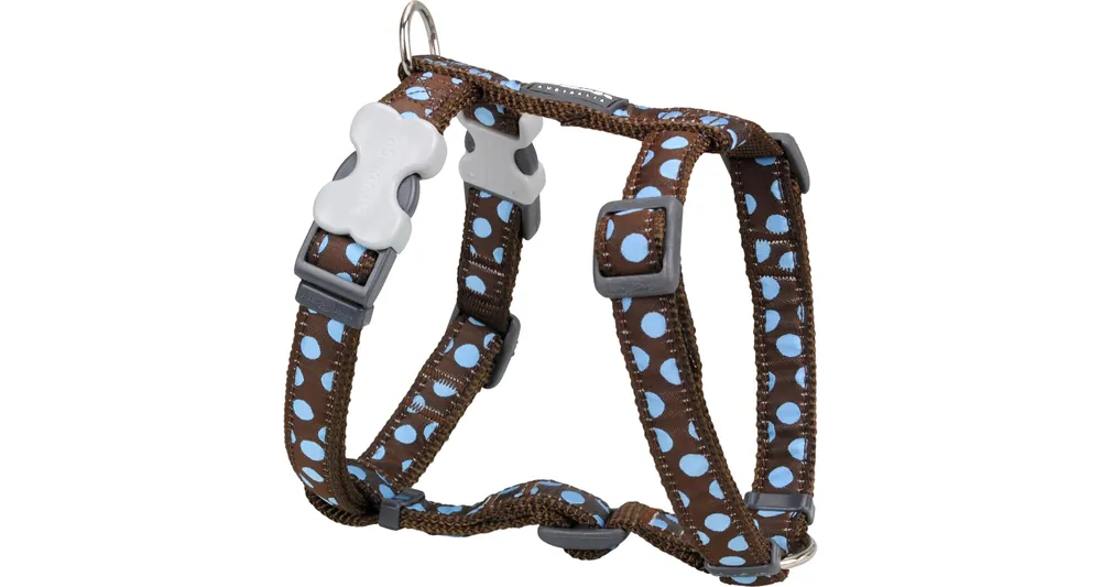 Rychlé Dodání Red Dingo postroj – Blue Spots on Brown – 25 mm x 56-80 cm