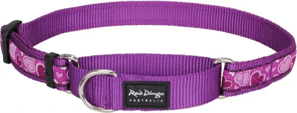 Red Dingo obojek polostahovací – Breezy Love Purple – 25 mm x 41-62 cm Nakupujte Hned