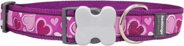 Nová Kolekce Red Dingo obojek – Breezy Love Purple – 40 mm x 50-80 cm