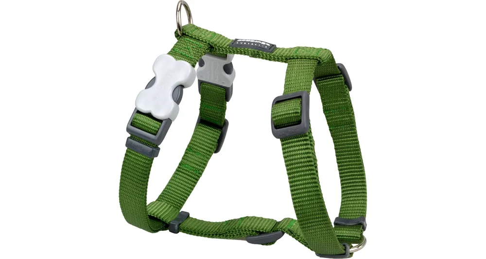 Red Dingo postroj – Green – 12 mm x 30-44 cm Finální Výprodej