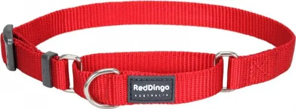 Novinka Red Dingo obojek polostahovací – Red – 25 mm x 41-62 cm