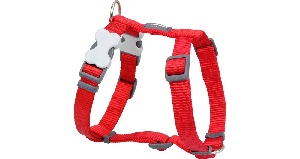Red Dingo postroj – Red – 25 mm x 71-113 cm Nová Kolekce