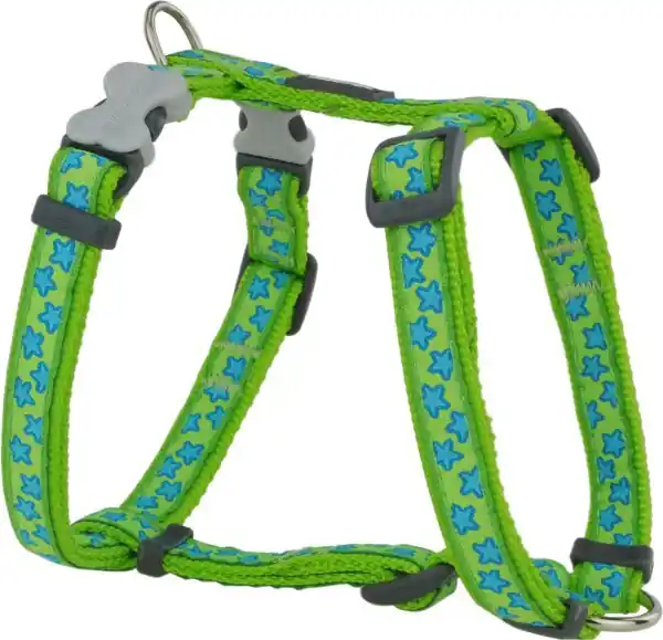 Red Dingo postroj – Stars Turquoise – 12 mm x 30-44 cm Top Prodej