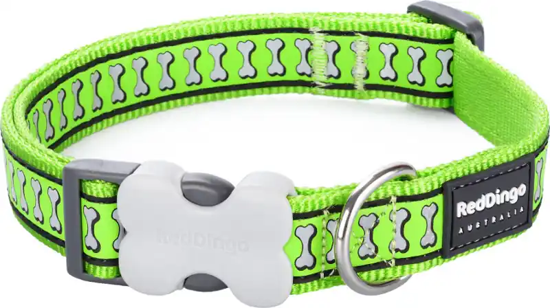 Ihned K Objednání Red Dingo obojek reflexní – Bones Lime – 12 mm x 20-32 cm