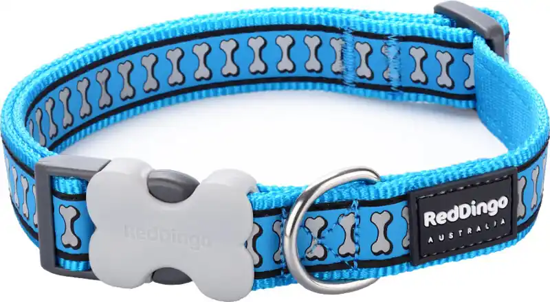Red Dingo obojek reflexní – Bones Turquoise – 25 mm x 41-63 cm Super Cena