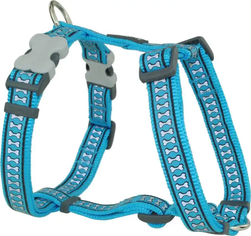 Koupit Online Red Dingo postroj reflexní – Bones Turquoise – 25 mm x 56-80 cm