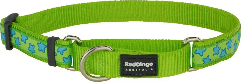 Red Dingo obojek polostahovací – Stars Turquoise – 25 mm x 41-62 cm Nejprodávanější