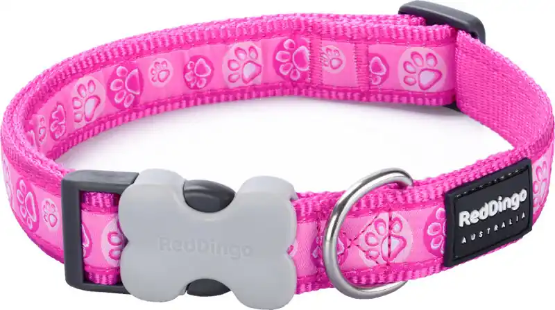 Ověřený Red Dingo obojek – Paw Impressions Hot Pink – 15 mm x 24-36 cm