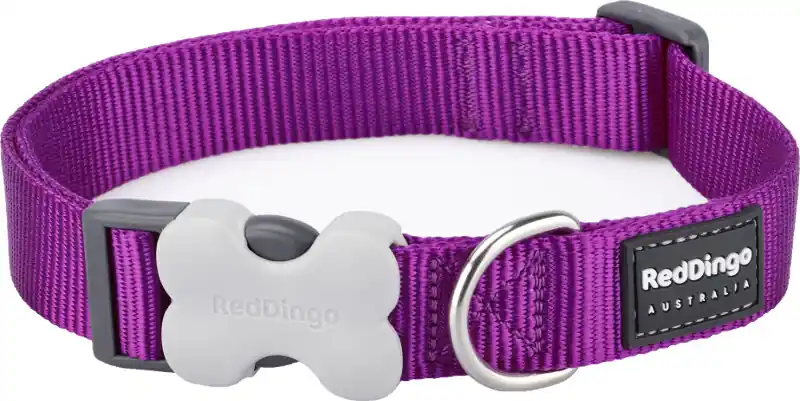 Red Dingo obojek – Purple – 15 mm x 24-36 cm Nová Kolekce
