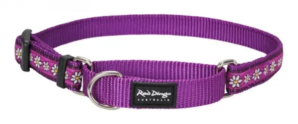 Vrácení Zdarma Red Dingo obojek polostahovací – Daisy Chain Purple – 15 mm x 26-40 cm