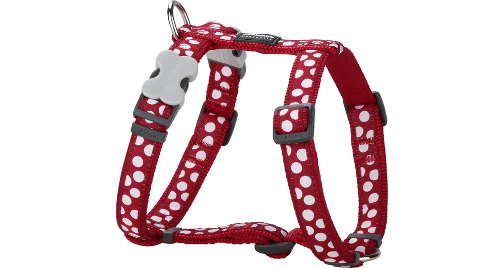 Časově Omezené Red Dingo postroj – White Spots on Red – 15 mm x 36-54 cm