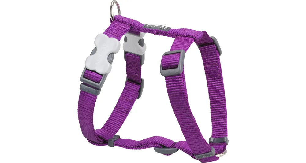 Hit Sezóny Red Dingo postroj – Purple – 15 mm x 36-54 cm