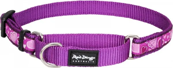Red Dingo obojek polostahovací – Breezy Love Purple – 20 mm x 30-44 cm Odeslání Ihned
