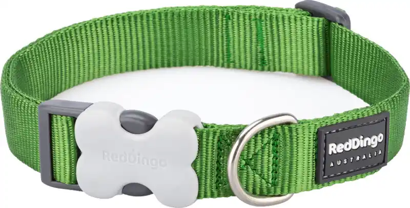 Vysoce Kvalitní Red Dingo obojek – Green – 20 mm x 30-47 cm