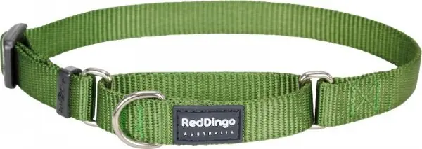 Red Dingo obojek polostahovací – Green – 20 mm x 30-44 cm Poslední Šance