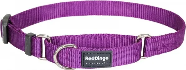 Omezená Nabídka Red Dingo obojek polostahovací – Purple – 20 mm x 30-44 cm