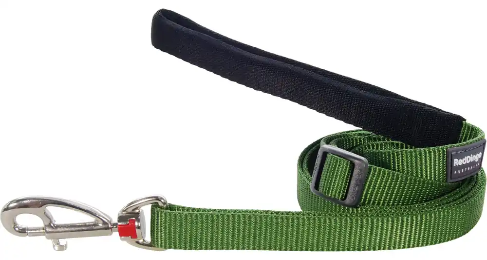 Pouze Dnes Red Dingo vodítko – Green – 20 mm x 1,8 m
