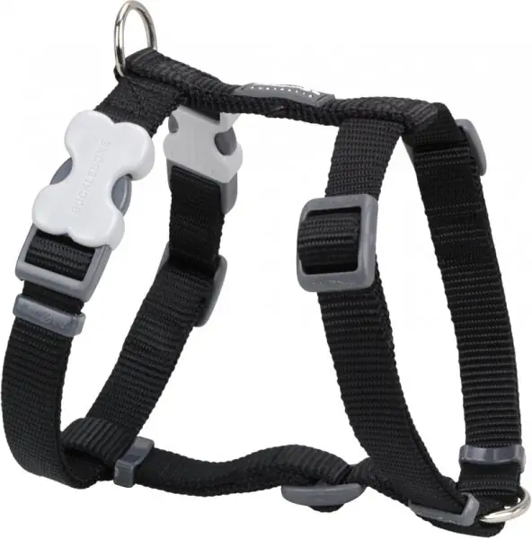 Red Dingo postroj – Black – 20 mm x 45-66 cm Tovární Cena