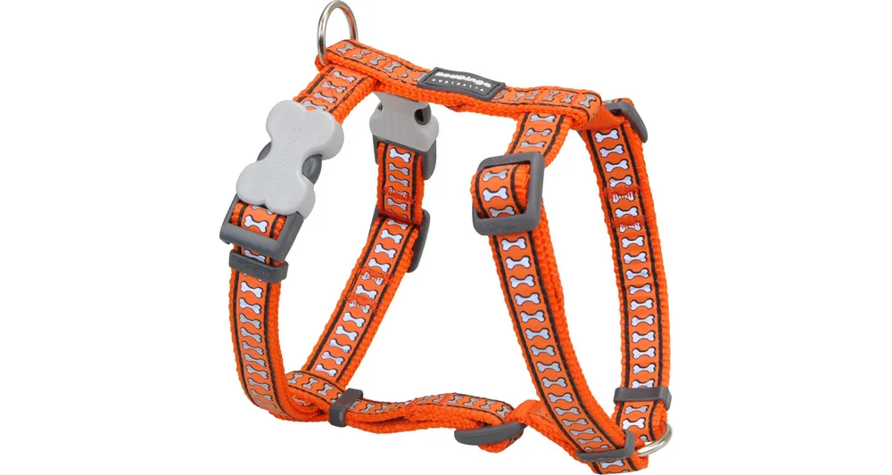 Red Dingo postroj reflexní – Bones Orange – 20 mm x 45-66 cm Přímo Od Výrobce