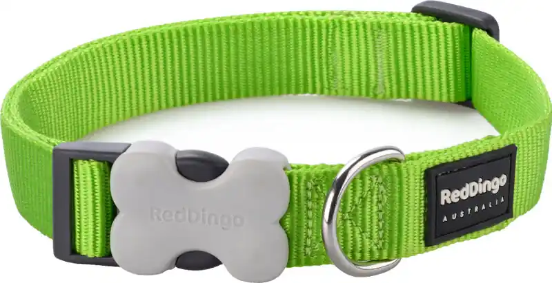 Omezená Nabídka Red Dingo obojek – Lime – 12 mm x 20-32 cm