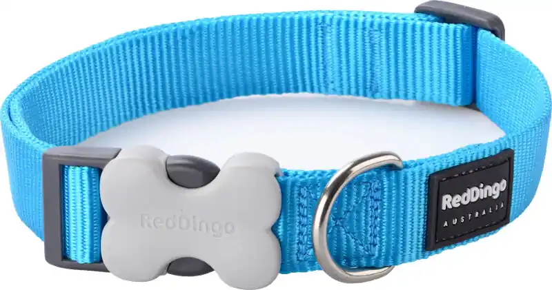 Vysoce Kvalitní Red Dingo obojek – Turquoise – 12 mm x 20-32 cm