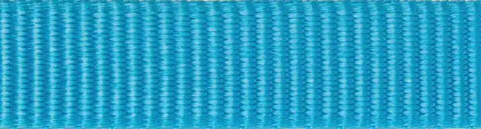 Bezpečná Platba Red Dingo vodítko přepínací – Turquoise – 25 mm x 2 m