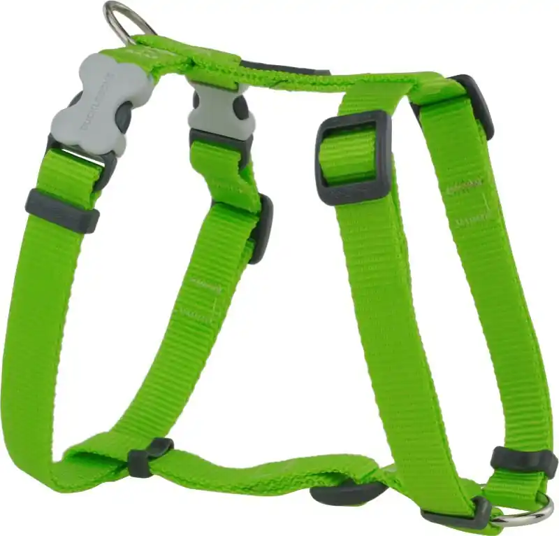 Red Dingo postroj – Lime – 12 mm x 30-44 cm Bezpečná Platba