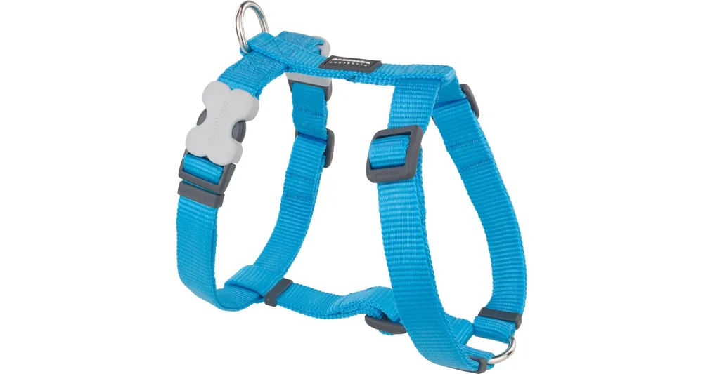 Omezená Nabídka Red Dingo postroj – Turquoise – 20 mm x 45-66 cm