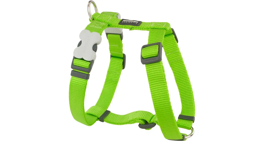 Red Dingo postroj – Lime – 25 mm x 71-113 cm Víkendová Akce