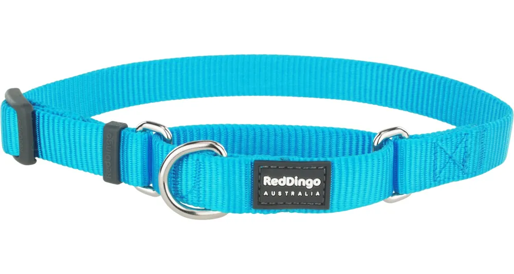 Bezpečná Platba Red Dingo obojek polostahovací – Turquoise – 15 mm x 26-40 cm