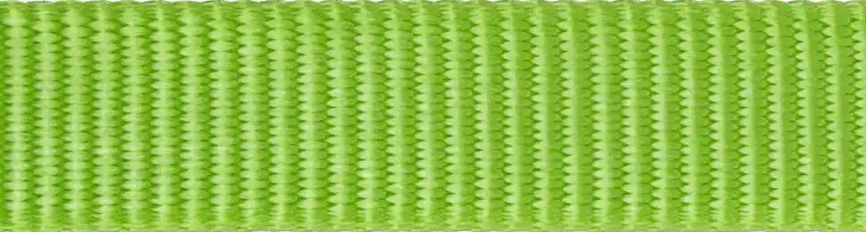 Red Dingo vodítko přepínací – Lime – 15 mm x 2 m Hit Sezóny