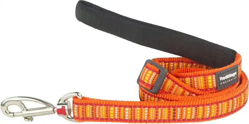 Akce Red Dingo vodítko – Lotzadotz Orange – 25 mm x 1,8 m