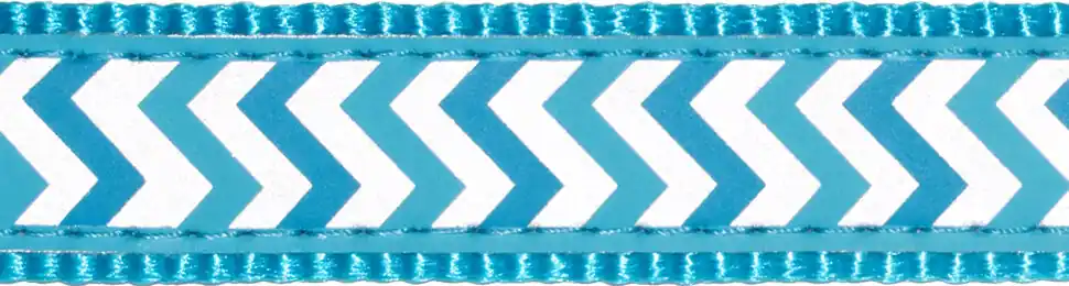 Expresní Doručení Red Dingo vodítko přepínací reflexní – Ziggy Turquoise – 12 mm x 2 m