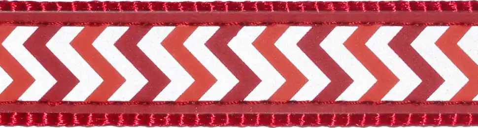 Red Dingo vodítko přepínací reflexní – Ziggy Red – 20 mm x 2 m Nízká Cena