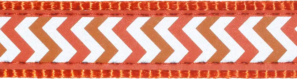 Top Prodej Red Dingo vodítko přepínací reflexní – Ziggy Orange – 15 mm x 2 m