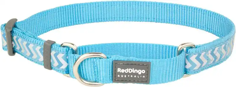 Nejprodávanější Red Dingo obojek polostahovací reflexní – Ziggy Turquoise – 25 mm x 41-62 cm
