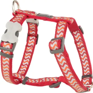 Akce Red Dingo postroj – Ziggy Red – 25 mm x 71-113 cm