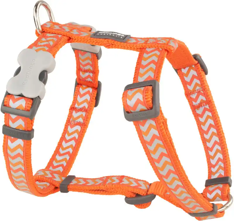 Dokud Zásoby Vydrží Red Dingo postroj – Ziggy Orange – 25 mm x 71-113 cm