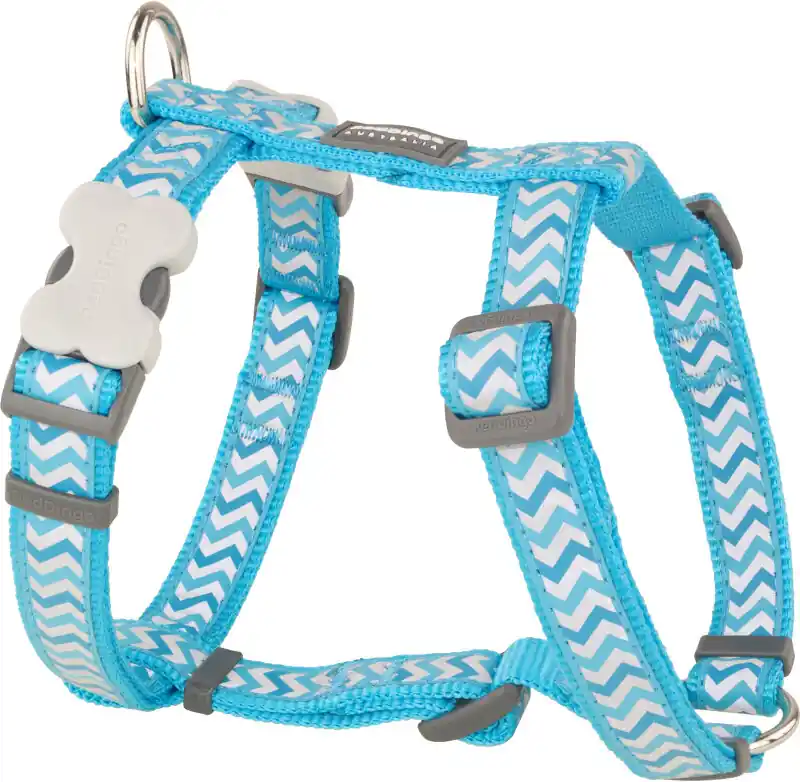 Značkový Red Dingo postroj – Ziggy Turquoise – 25 mm x 71-113 cm