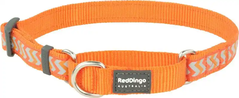 Vysoce Kvalitní Red Dingo obojek polostahovací reflexní – Ziggy Orange – 15 mm x 26-40 cm