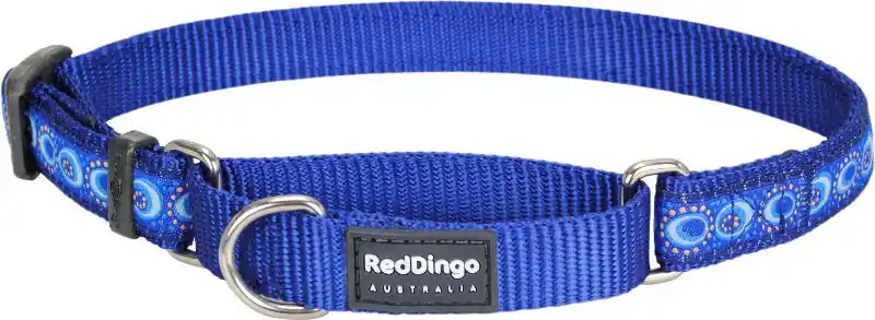 Cenový Hit Red Dingo obojek polostahovací – Cosmos Blue – 15 mm x 26-40 cm