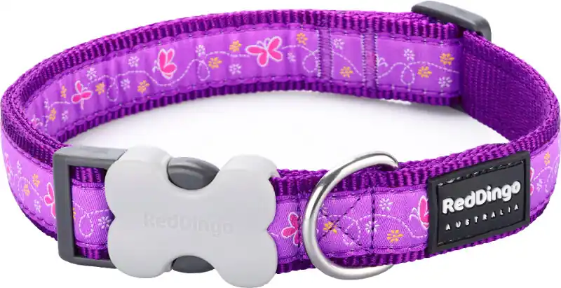 Red Dingo obojek – Butterfly Purple – 15 mm x 24-36 cm Speciální Cena