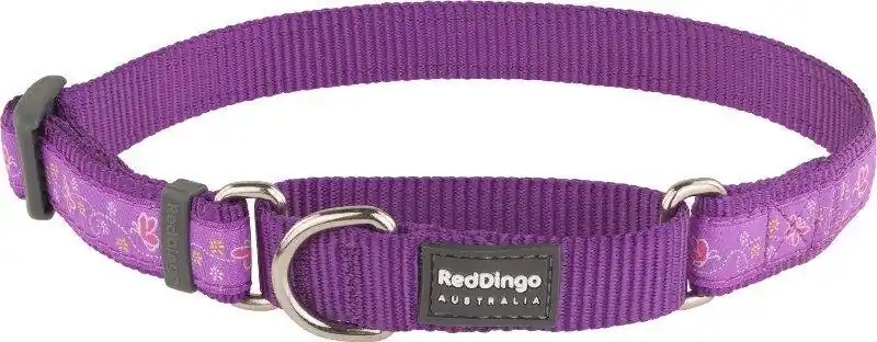 Red Dingo obojek polostahovací – Butterfly Purple – 20 mm x 30-44 cm Pouze Dnes