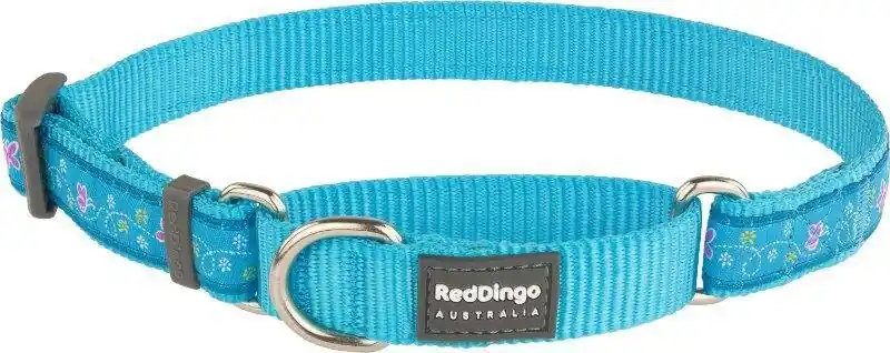 Red Dingo obojek polostahovací – Butterfly Turquoise – 20 mm x 30-44 cm Autentický