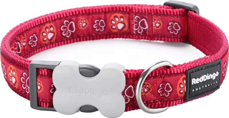 Koupit Online Red Dingo obojek – Paw Impressions Red – 15 mm x 24-36 cm