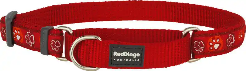 Novinka Red Dingo obojek polostahovací – Paw Impressions Red – 25 mm x 41-62 cm