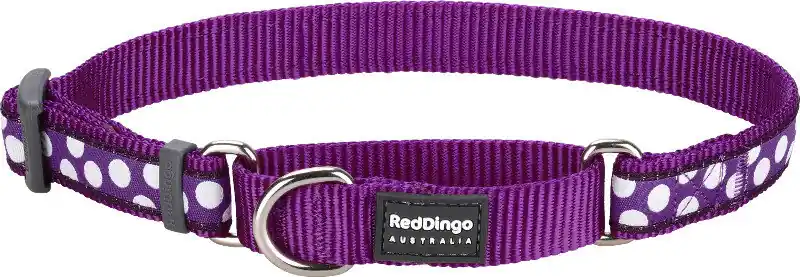Poslední Šance Red Dingo obojek polostahovací – White Spots on Purple – 25 mm x 41-62 cm